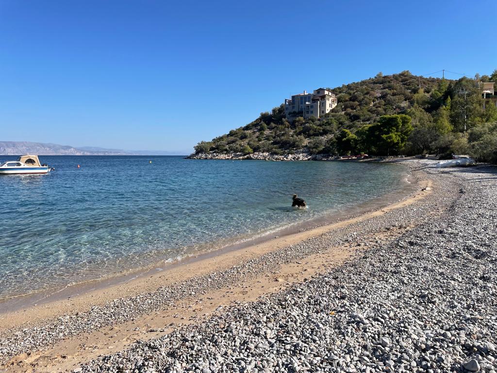 51225c2a-d562-42b6-835e-57191ce150a3